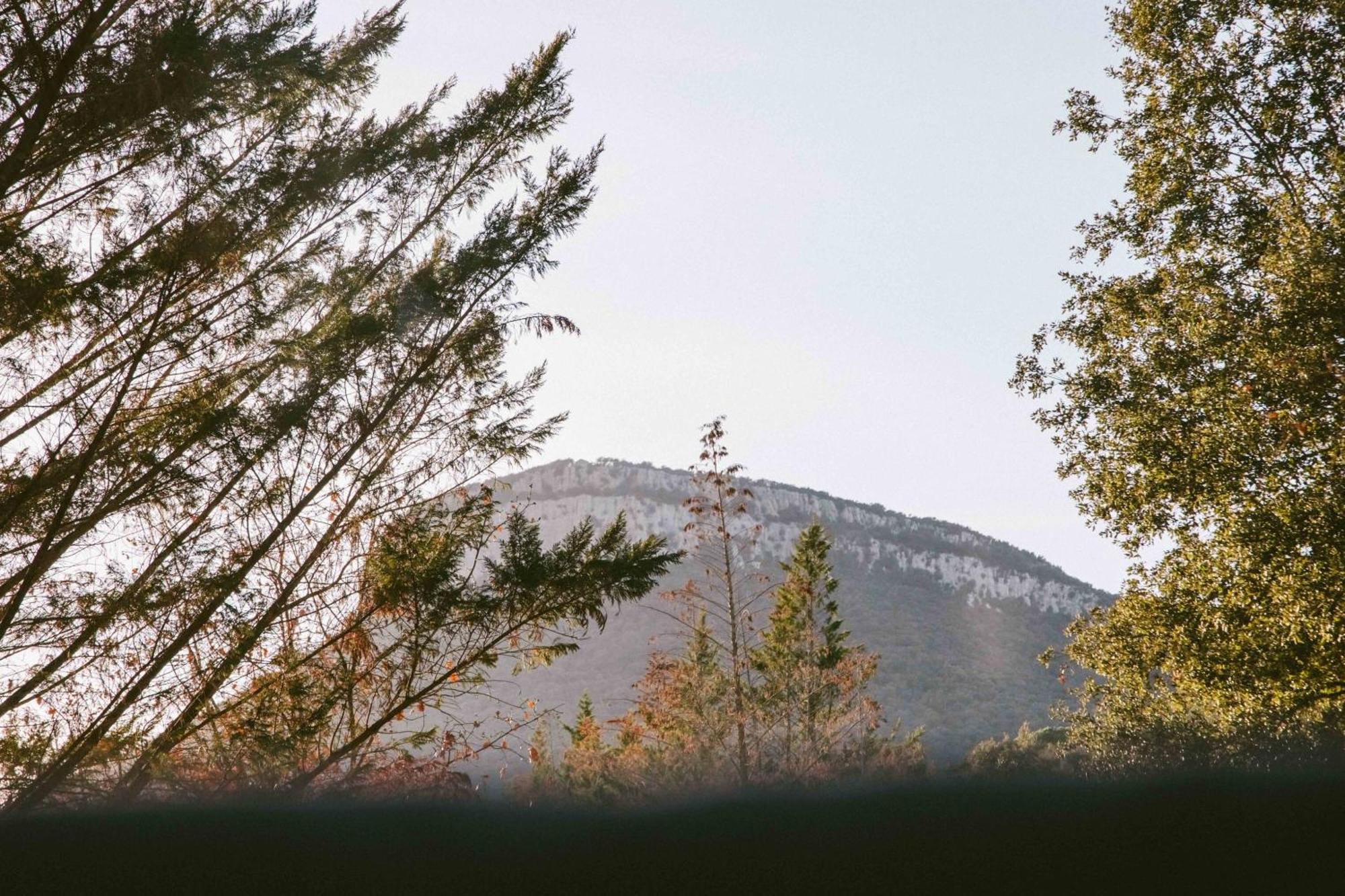 Caseta Wald By Tiny Away Las Serras Buitenkant foto